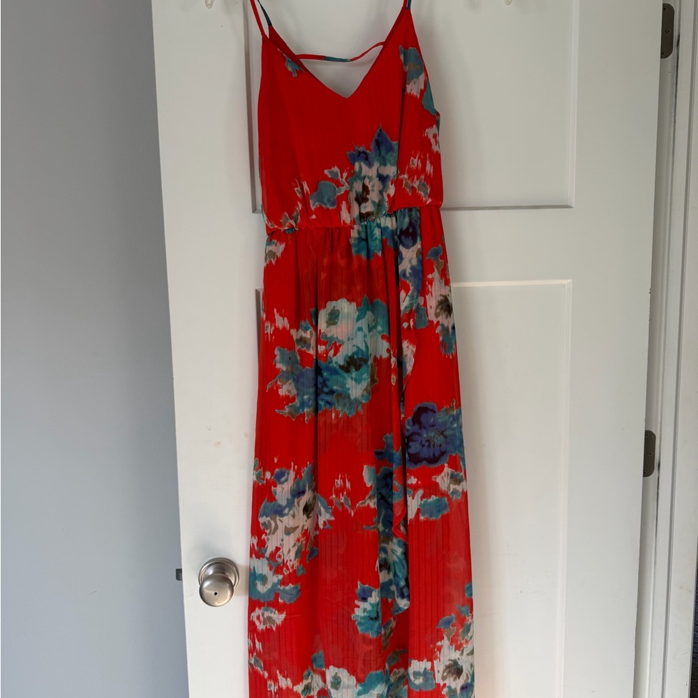 Sienna Sky Red and Blue Floral Dress